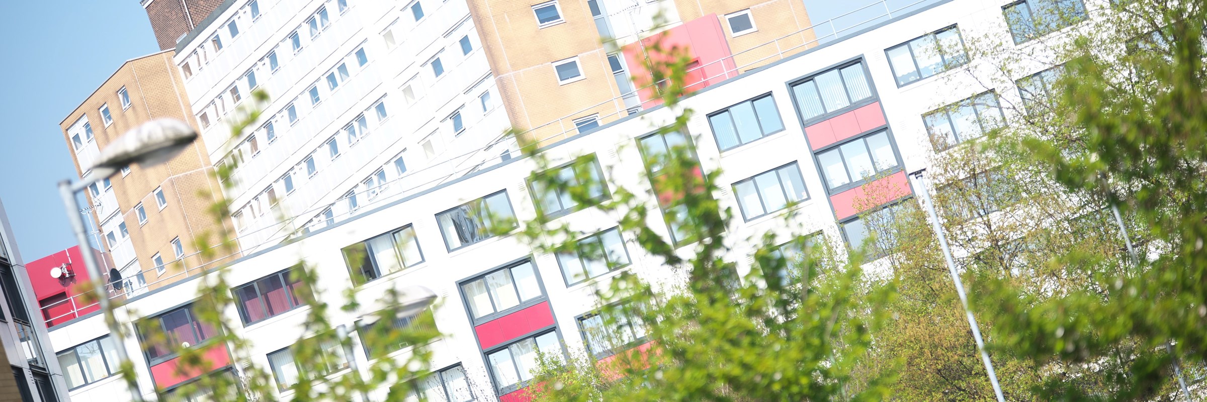 Two blocks of flats with trees in the foreground