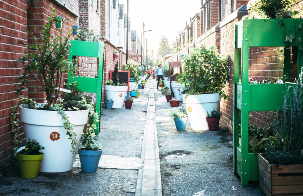 Photo of a back alley greening project, showing how residents have added greenery to their shared community space