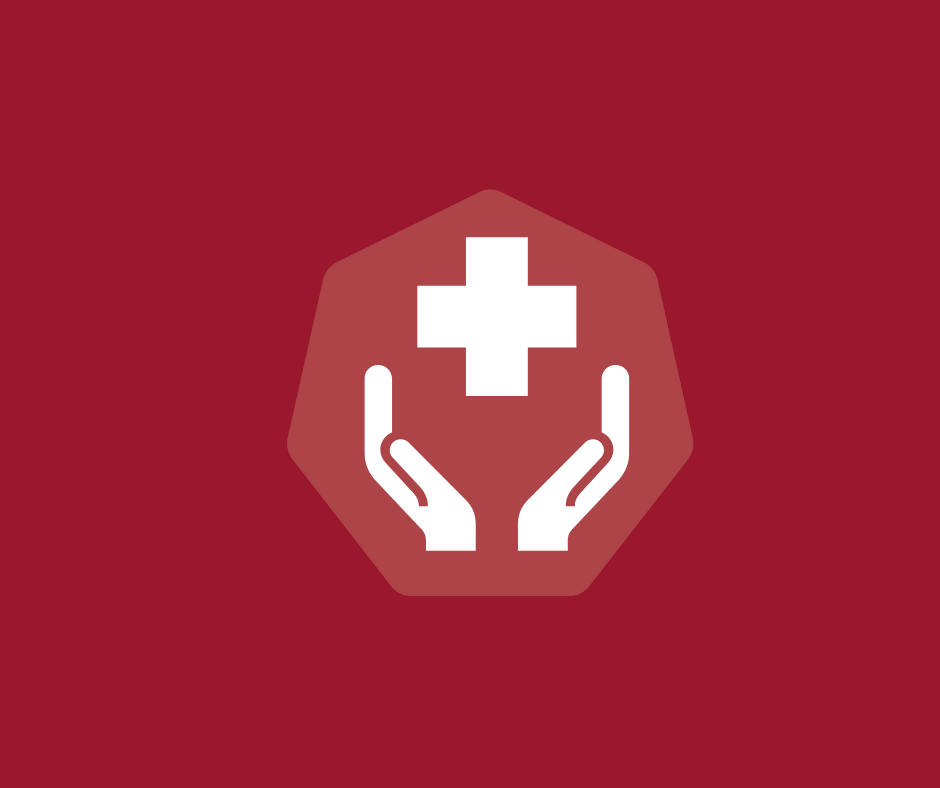 Icon of health plus sign and hands holding it