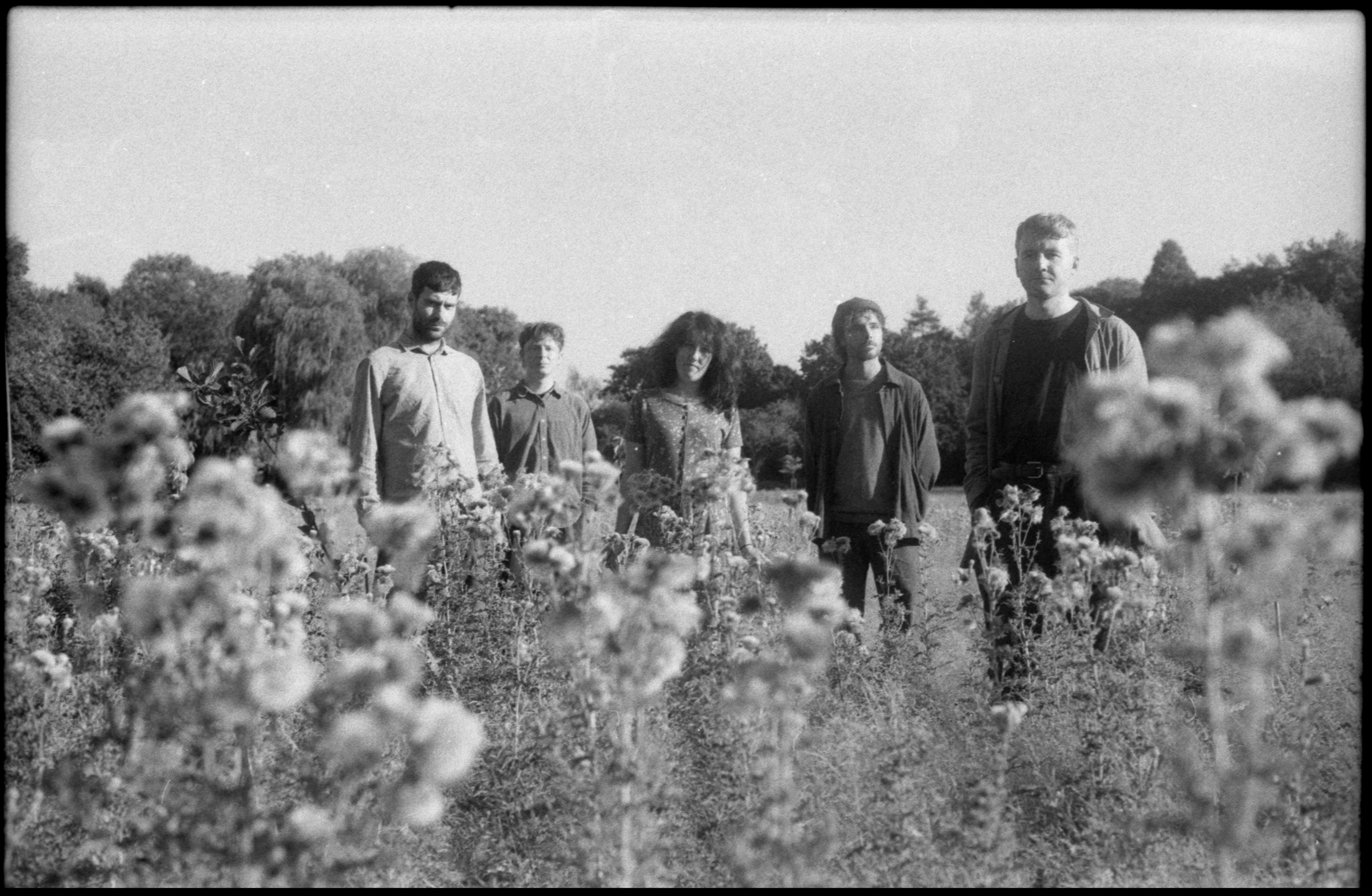 Image of members of Mewn stood in a field 