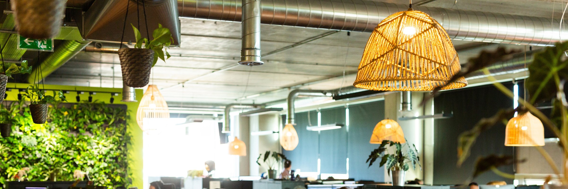 Tech company office with workers at rows of desks