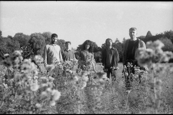 Image of members of Mewn stood in a field 