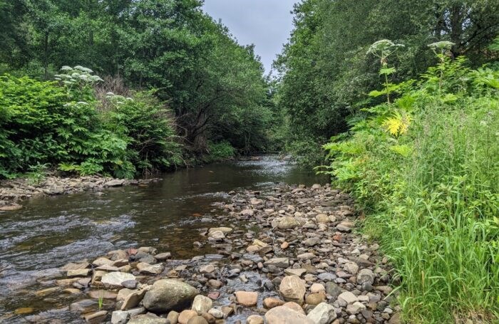 River bed in Greater Manchester