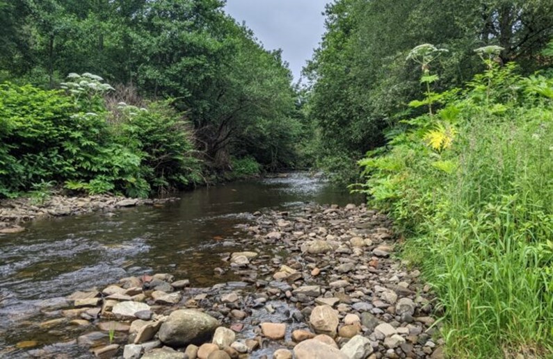 River bed in Greater Manchester