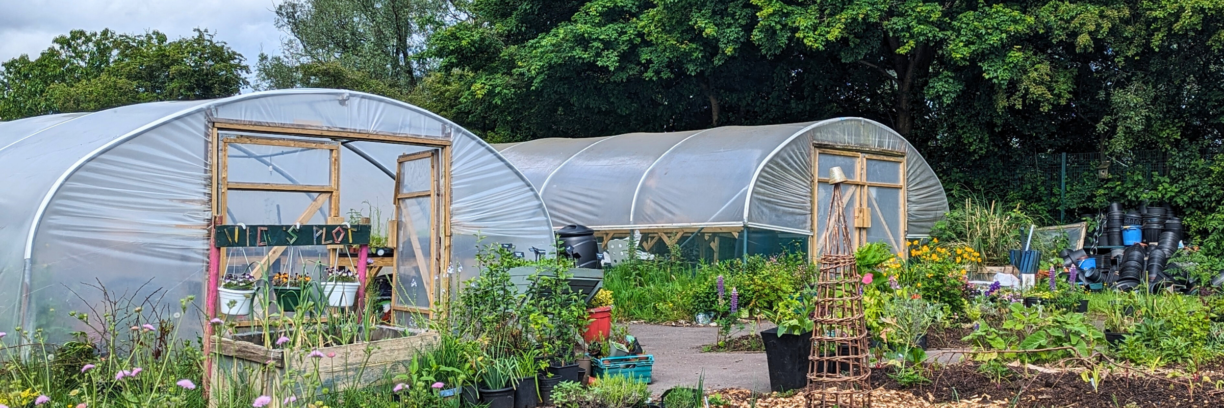 Photo of polytunnels at the Northern Lily Green Spaces Fund project